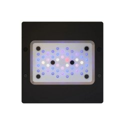 ETM Radion XR15 G6 Blue LED Light Fixture